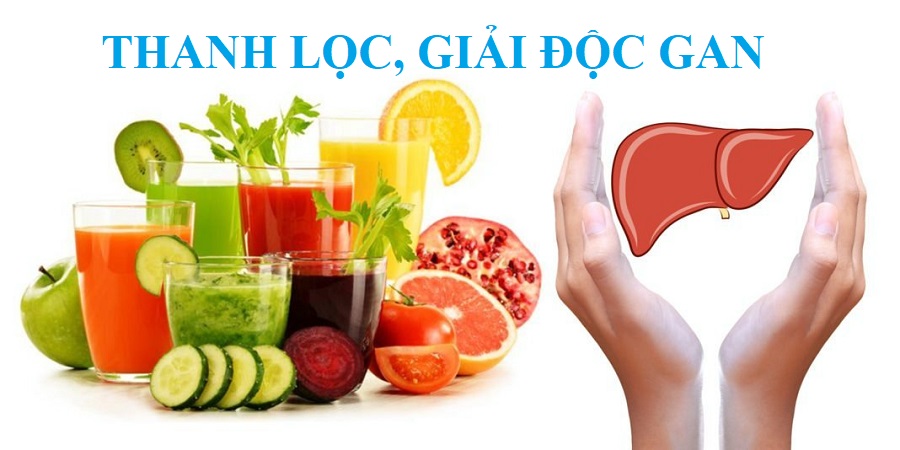 Cách Uống Atisô Đúng Để Giải Độc Gan Hiệu Quả