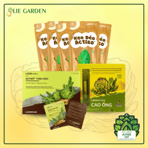 Atiso khỏe đẹp 1