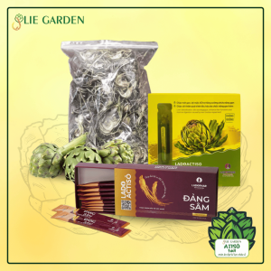 Atiso khỏe đẹp 2