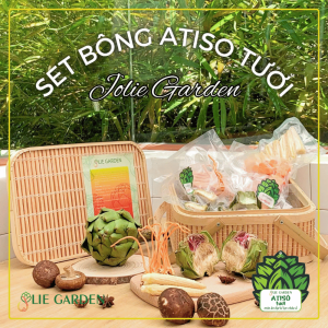 Set Atiso Dưỡng Sinh